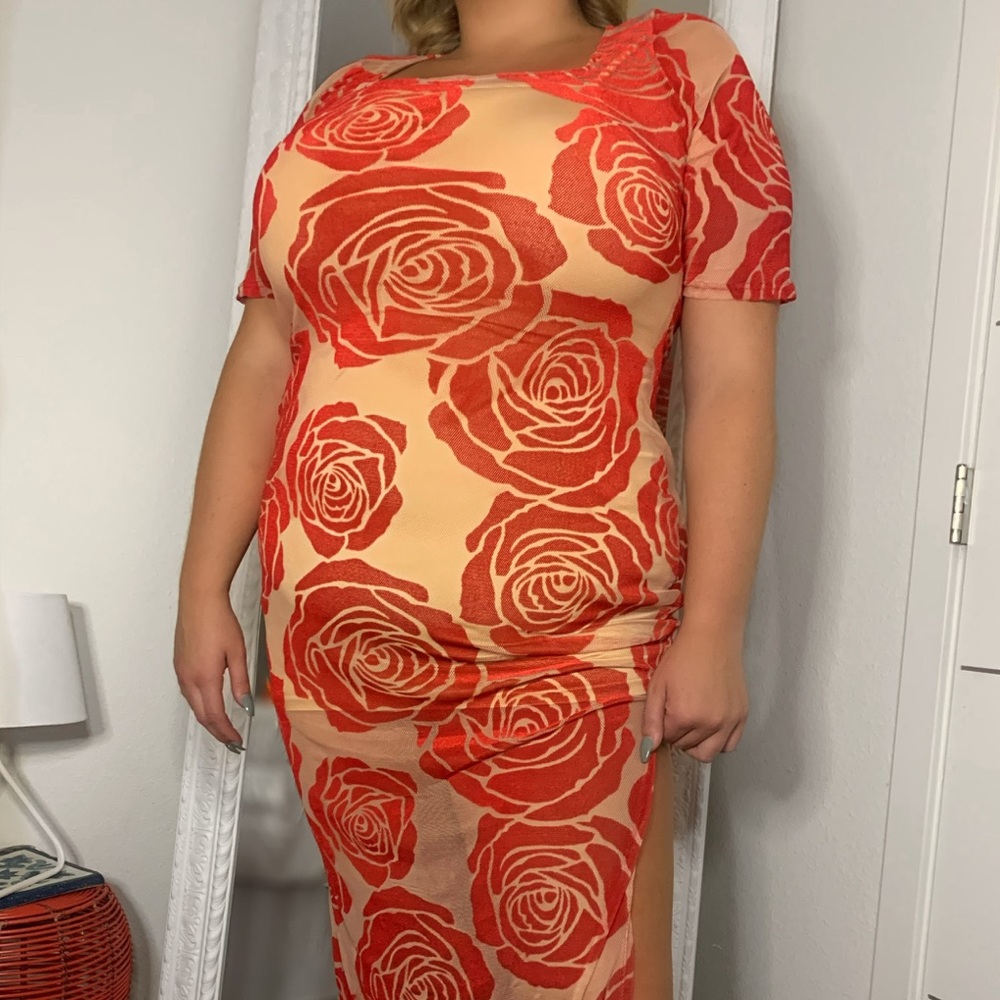 Red Rose Sheer Dress